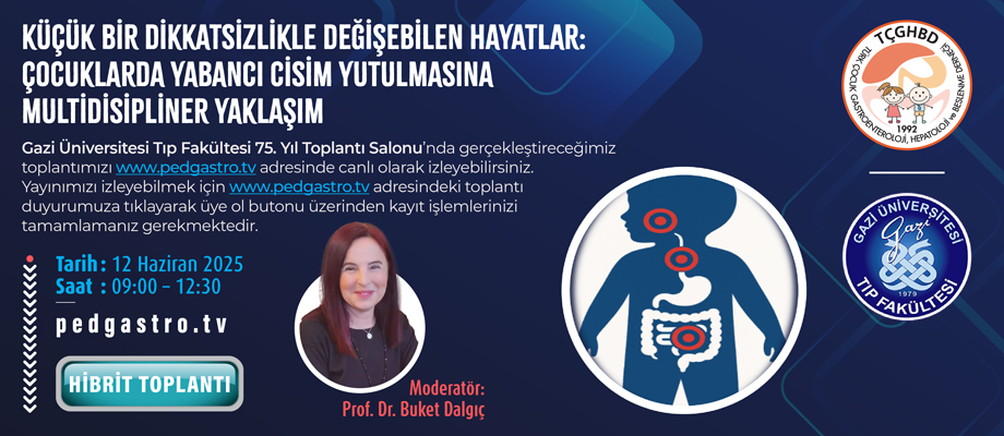 Modül Format
